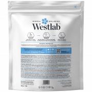 Westlab Totes Meersalz 5kg