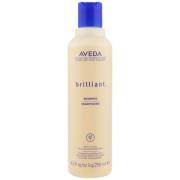 Aveda Brilliant Shampoo (Glanz) 250ml