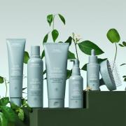 Aveda Kopfhaut Solutions Ausgleichendes Shampoo 50 ml