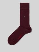 Burlington Socken mit Label-Details in Bordeaux, Größe 40-46
