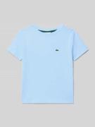 Lacoste Regular Fit T-Shirt aus reiner Baumwolle Modell 'CORE TEE' in ...