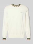 Lacoste Regular Fit Strickpullover aus reiner Baumwolle in Offwhite, G...