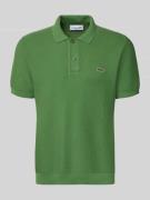 Lacoste Regular Fit Poloshirt aus reiner Baumwolle in Oliv, Größe L