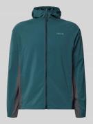 HALO Regular Fit Jacke mit Logo-Print Modell 'Division' in Dunkelgruen...