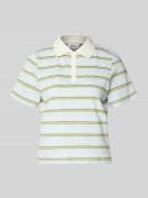 s.Oliver RED LABEL Regular Fit Poloshirt aus reiner Baumwolle in Royal...