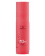 Wella Invigo Color Brilliance Shampoo Coarse 250 ml