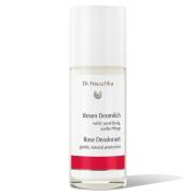 Dr. Hauschka Rose Deodorant 50 ml