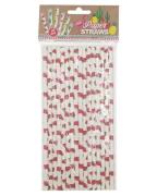 Party Collection Papierstrohhalme Wassermelone   16 stk.