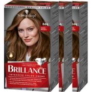 Schwarzkopf Brillance 864 Warm Brown 3-pack