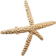 ByBarb Hair Clip Sea Star Ester Gold