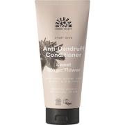 Urtekram Start Over Anti-Dandruff Conditioner Sweet Ginger Flower