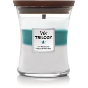 WoodWick Icy Woodland Trilogy Medium Medium