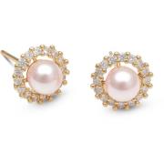 Lily and Rose Colette pearl stud earrings   Rosaline