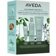 AVEDA Scalp Solutions Winter Renewal Set 425 ml