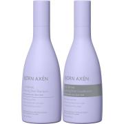 Björn Axen Cool Blonde Coloring Silver Standard STANDARD