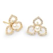 Lily and Rose Elise Earrings Ivory pearl gold