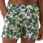 Björn Borg Badehosen Sylvester Swim Shorts Weiß/Grün Polyester Small H...