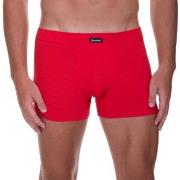 Bruno Banani Check Line 2.0 Shorts Rot Polyamid Small Herren