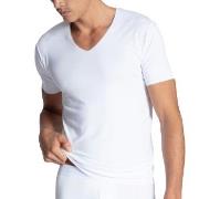 Calida Clean Line T-shirt Weiß Mikromodal Small Herren