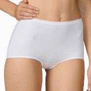 Calida Comfort Midi-brief 23024 Weiß 001 Baumwolle Small Damen