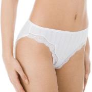 Calida Etude Toujours Regular Cut Brief Weiß Baumwolle Small Damen