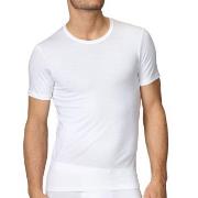 Calida Evolution T-Shirt 14661 Weiß 001 Baumwolle Small Herren