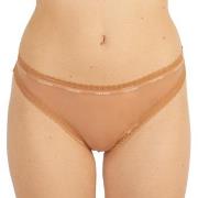 Calvin Klein Bottoms Up Refresh Thong Hellbraun Polyamid Small Damen