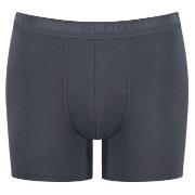 Sloggi 2P Men EverNew Short Grau Baumwolle Medium Herren