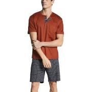 Calida Relax Selected Short Pyjamas Rot/Blau Baumwolle Small Herren