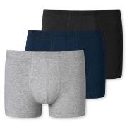 Schiesser 3P 95-5 Essential Shorts Mixed Baumwolle Small Herren