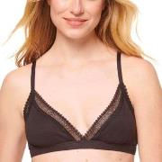 Sloggi BH GO Ribbed Lace Bralette Schwarz Baumwolle Small Damen