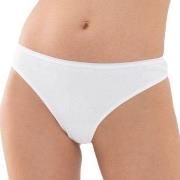 Mey Organic Cotton Mini Briefs Weiß Baumwolle Small Damen