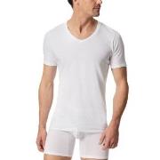 Schiesser Premium Cotton V-neck Shirt Weiß Baumwolle Small Herren