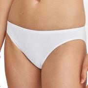 Calida Essential Cotton Low Cut Brief Weiß Baumwolle Small Damen