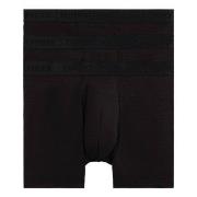 Tommy Hilfiger 3P Everyday Luxe Boxer Briefs Schwarz Medium Herren