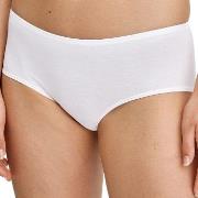 Calida Essential Cotton Hipster Panty Weiß Baumwolle Small Damen