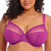 Elomi BH Matilda Underwired Plunge Bra Fuchsia/Lila I 90 Damen