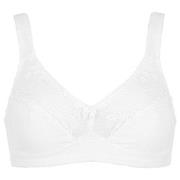 Damella BH Felice Soft Bra Weiß Baumwolle A 100 Damen