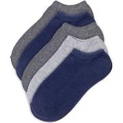 Pierre Robert 5P Low Cut Socks For Kids Blau/Grau Gr 29/32 Kinder