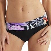 Damella Veronica Tropical Tai Bikini Brief Lila/Schwarz 38 Damen