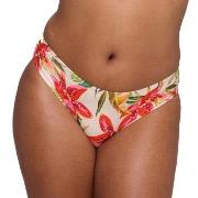 PrimaDonna Tanzania Bikini Rio Briefs Mixed 38 Damen