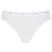 Sloggi 3P 24 7 100 Tai Briefs Weiß Baumwolle 38 Damen