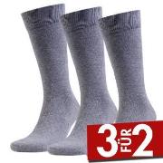 Amanda Christensen 3P True Combed Cotton Sock Grau Gr 39/42
