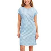 Calida Lovely Nights Short Sleeve Nightdress Blau Muster Baumwolle Sma...