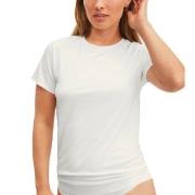 Calida Natural Skin T-shirt Weiß Small Damen