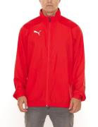 PUMA Liga Sideline Herren Trainingsjacke mit dryCELL Sport-Jacke 65566...