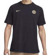 NIKE Chelsea FC 23/24 Herren T-Shirt Baumwoll-Sportshirt Fanwear DV510...