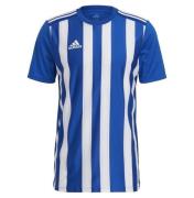 adidas Striped 21 Herren Sport-Shirt nachhaltiges Trainings-Shirt mit ...