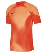 NIKE Gardien IV Herren Torwart-Trikot mit Dri-FIT ADV-Technologie Fußb...