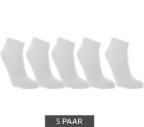 5 Paar CINQUE Herren Sneaker-Socken schlichte Baumwoll-Socken Oeko-Tex...